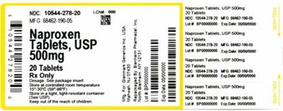 Bottle Label (10544 278 20   68462 190 05)